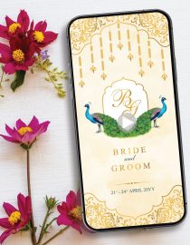 Multicolor Wedding Invitation Video